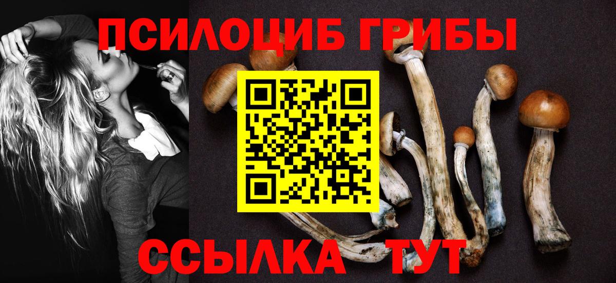 Красноармейск  Галлюциногенные грибы GOLDEN TEACHER  Вход с VPN 